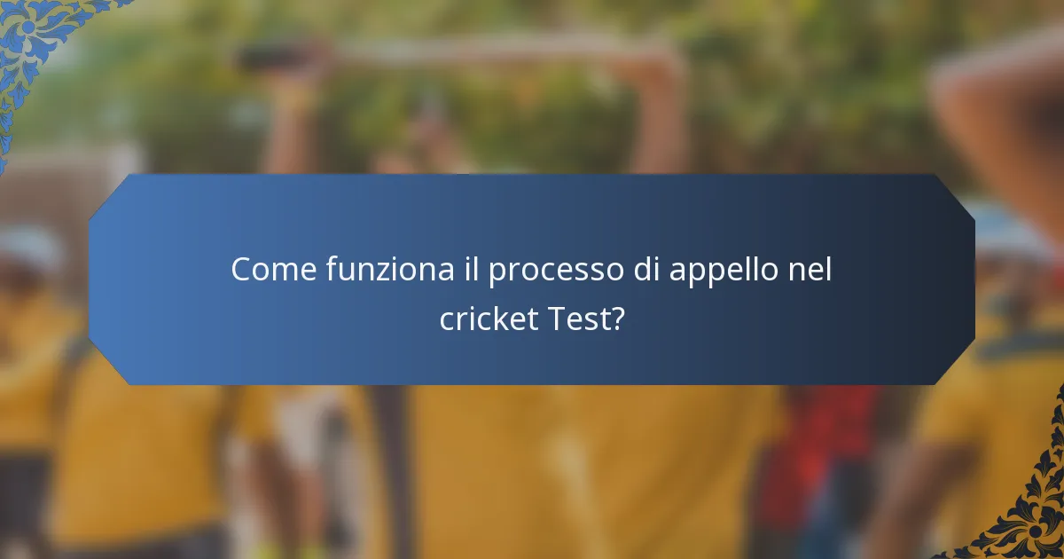 Come funziona il processo di appello nel cricket Test?