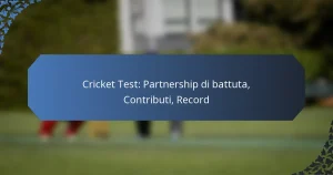 Cricket Test: Partnership di battuta, Contributi, Record