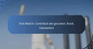 Test Match: Contributi dei giocatori, Ruoli, Valutazioni