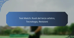 Test Match: Ruoli del terzo arbitro, Tecnologia, Revisioni