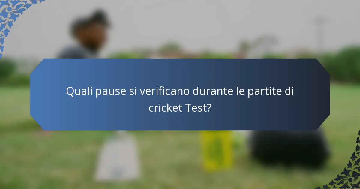 Quali pause si verificano durante le partite di cricket Test?